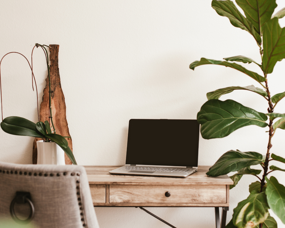 Desk with a laptop & plants